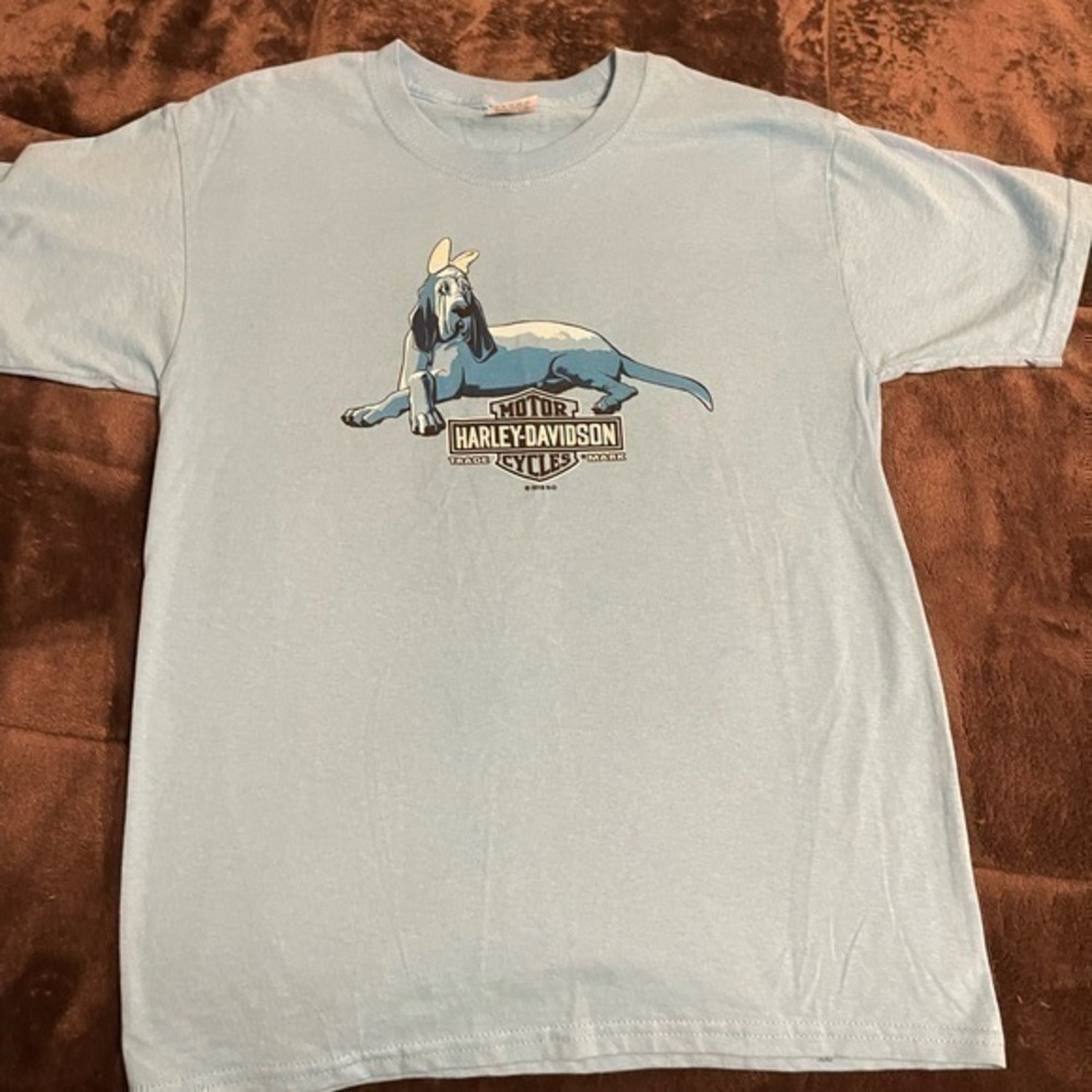 YouthRocky Top Harley Davidson shirt Size Large